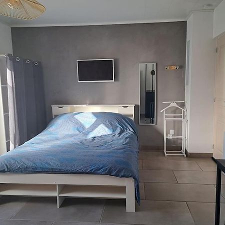 Studio Dans Maison Avec Jardin Et Balcon, Au Calme Sérézin-du-Rhône 外观 照片