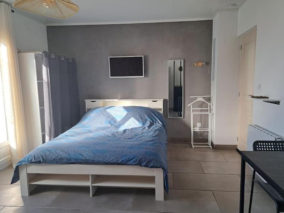 Studio Dans Maison Avec Jardin Et Balcon, Au Calme Sérézin-du-Rhône 外观 照片