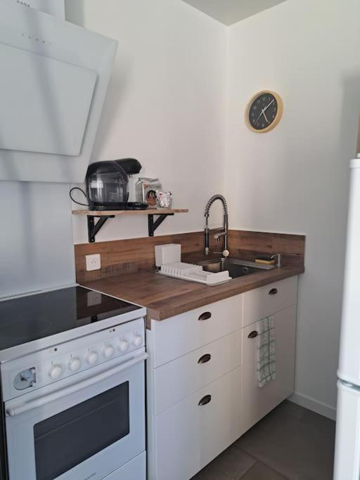 Studio Dans Maison Avec Jardin Et Balcon, Au Calme Sérézin-du-Rhône 外观 照片