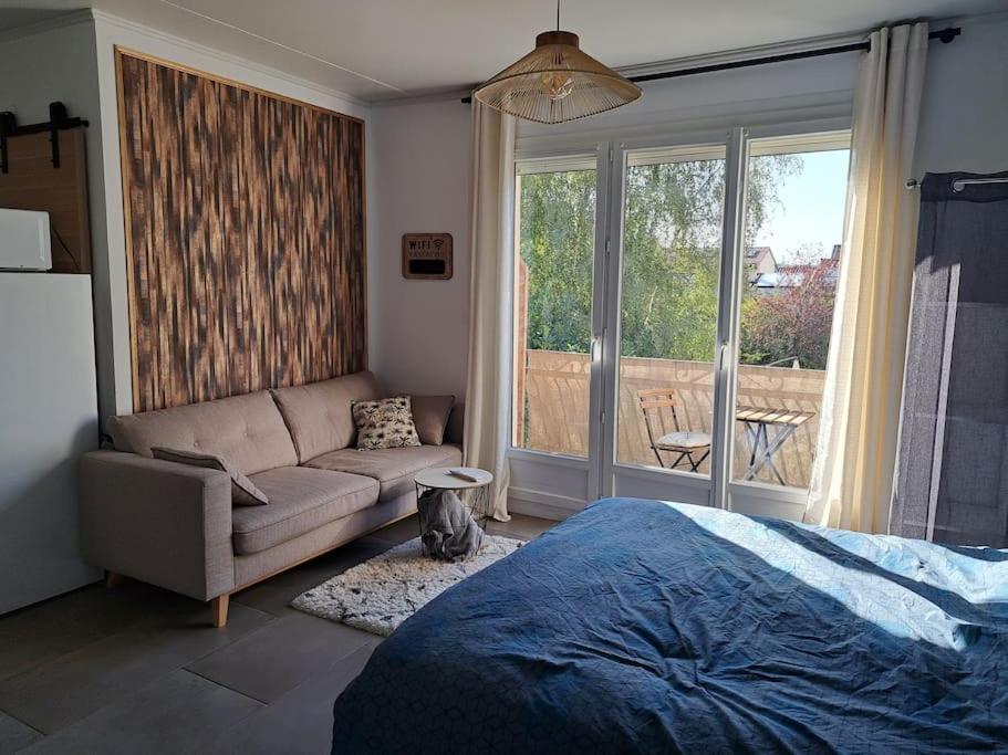 Studio Dans Maison Avec Jardin Et Balcon, Au Calme Sérézin-du-Rhône 外观 照片